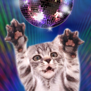 Disco Cats Dancers加速器