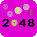 2048 钱币版