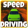 Speed Driving Race Masters