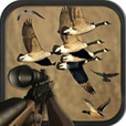 Birds Hunting Sniper Season