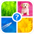 Word Game ~ 4 Pics 1 Word