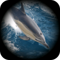 海豚模拟生存