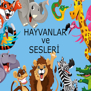 Hayvanlar ve Sesleri加速器