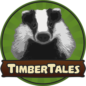 Timbertales加速器