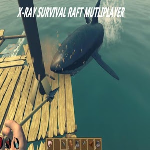 Raft Survival Multiplayer 3D加速器