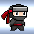 Squeaky Ninja