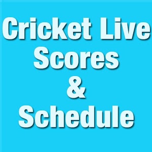 Ashes 2013 Live Cricket Scores加速器