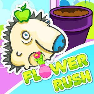 Flower Rush HD加速器