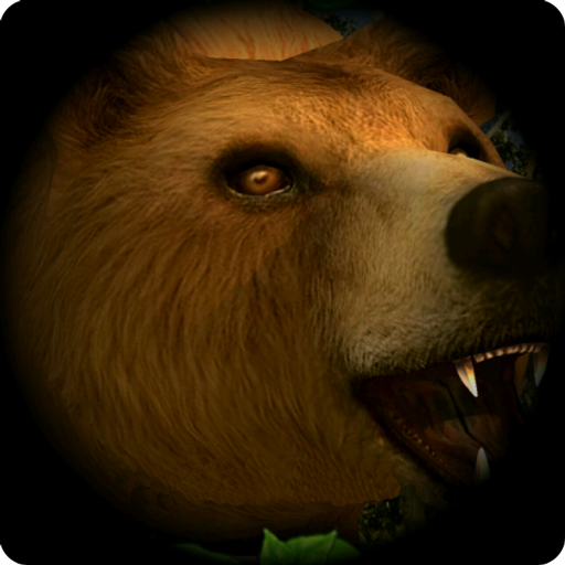 棕熊生存模拟器加速器