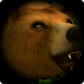 棕熊生存模拟器加速器