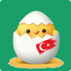 Turkish For Kids - Beginner加速器