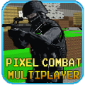 Pixel Combat Multiplayer HD