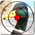 狙击手鸭子狩猎季节3D加速器