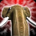 Elephant Dance