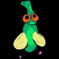 Fly Before You Die