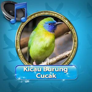 Kicau burung Cucak Rowo Mp3加速器