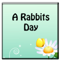 A Rabbits Day