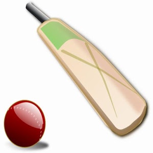 Live Cricket Score Widget加速器