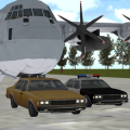 Police & Taxi Plane Transport