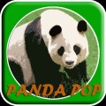 Bubble Panda Pop Ball