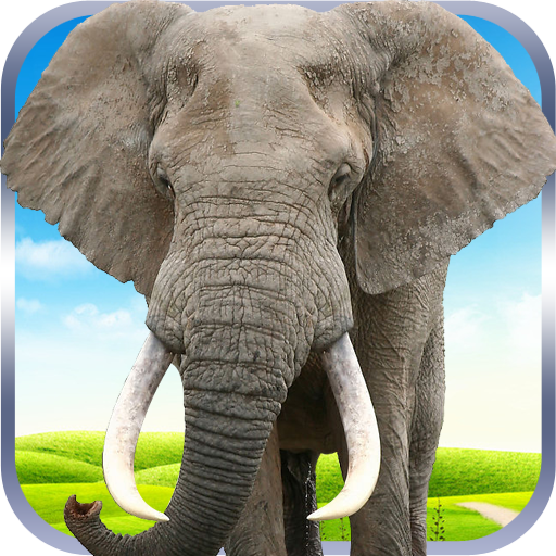 大象野外生存模拟加速器