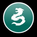 Way Of The Dragon
