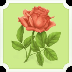 Flower Pairs加速器