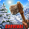 Island Survival加速器