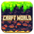 Craft World