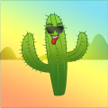 Don't Touch the Cactus加速器