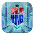 Guide Bowling King加速器