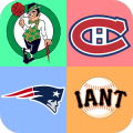 USA Sports Logo Quiz