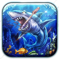 Angry shark Hunting加速器