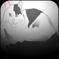 Match the Cute Cats - Free加速器