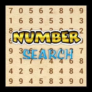 Number Search Challenge加速器