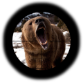 Forest Hunter 3D Real Animals