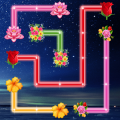 Flower Match Wander