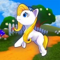 Pony Run