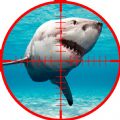 野生鲨鱼狩猎加速器
