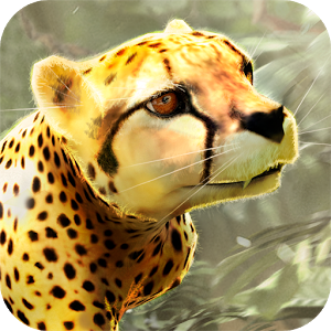 野生 猎豹 模拟器 2017 Wild Cheetah