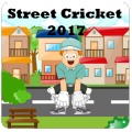 Street Cricket Game 2017