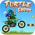 Turtle cross *加速器