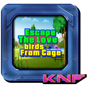 Can you Escape Birds From Cage加速器
