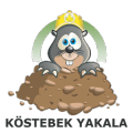 Köstebek Yakala