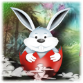 Flying Rabbit