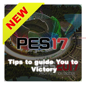 Guide for PES 2017加速器