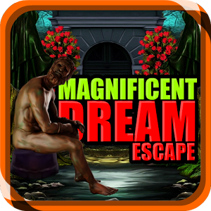 Magnificent Dream Escape加速器