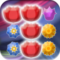 Flowers Bloom Match 3 Game加速器