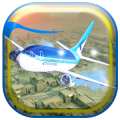 Airplane Flight 