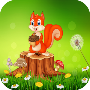 Squirrel Game For Kids加速器